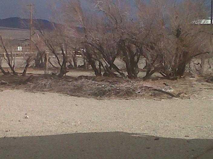 The Ranch Motel Olancha Rom bilde